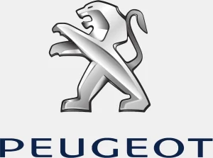 Auto-Spare-Part-and-Radiator-shop-in-Sharjah-UAE-peugeot